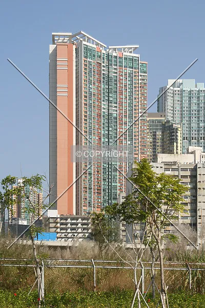 Photo 095-930-759