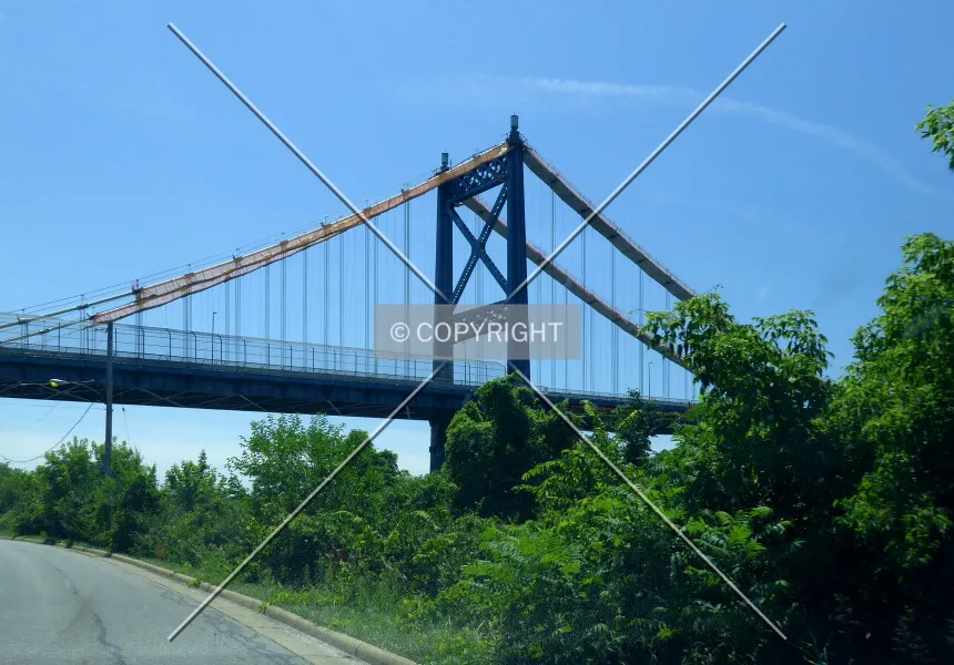 Photo 959-659-259