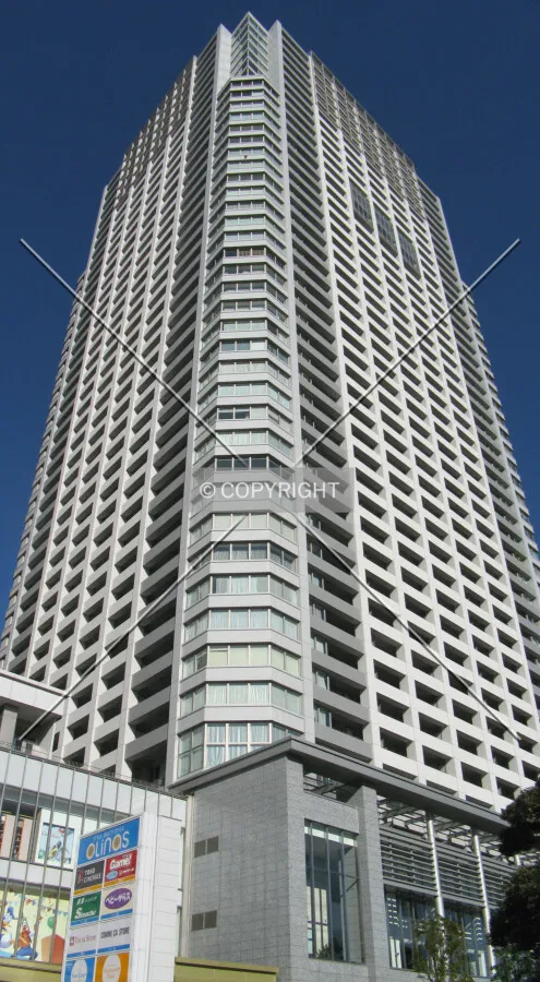 Looking up from the southwest