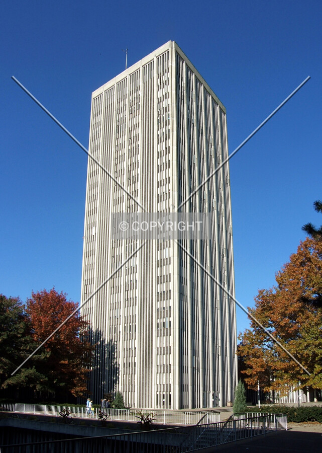 View from the south