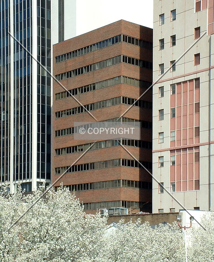View from the west across Shipley Street