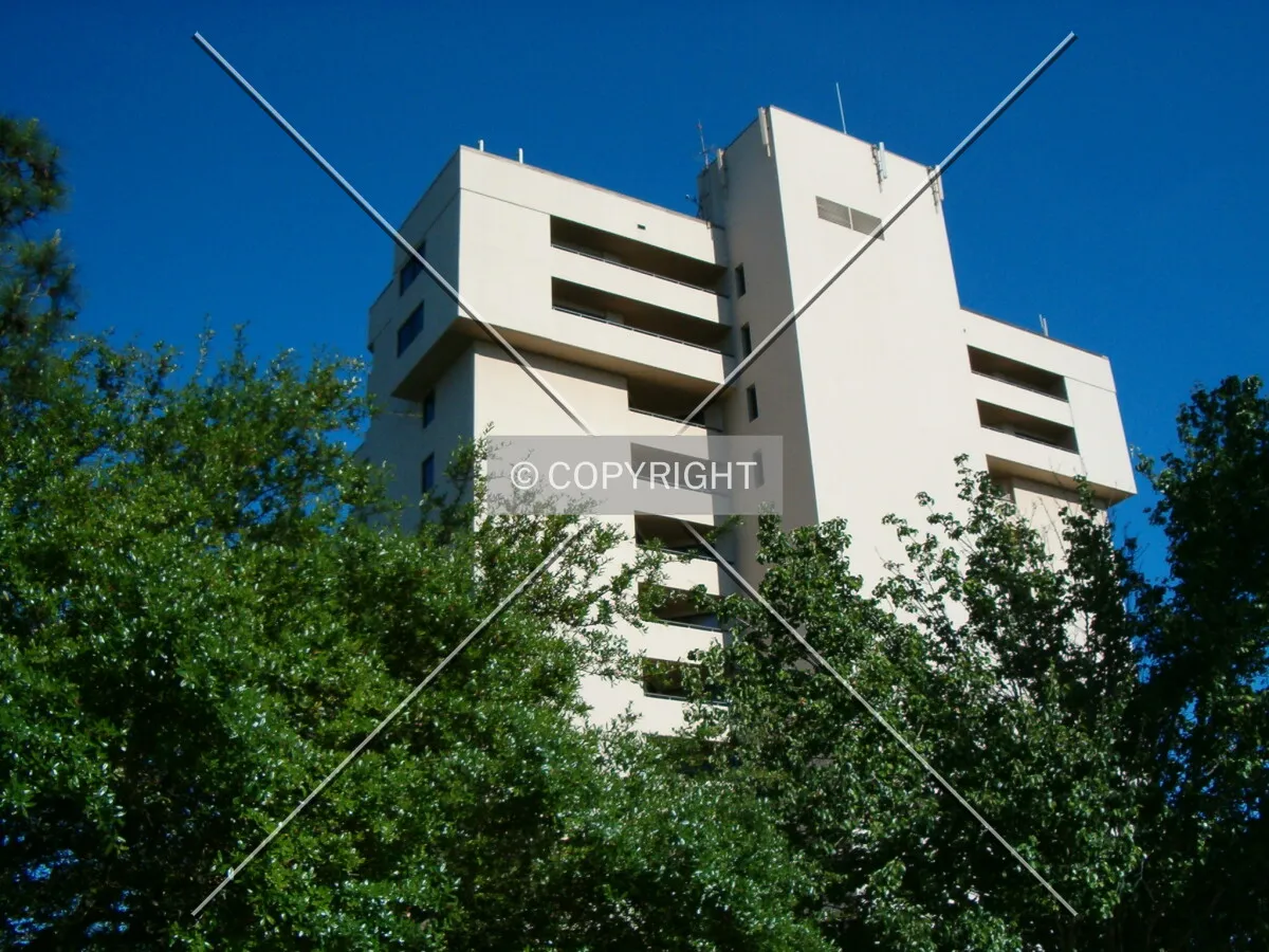 Looking up from Hawk Drive