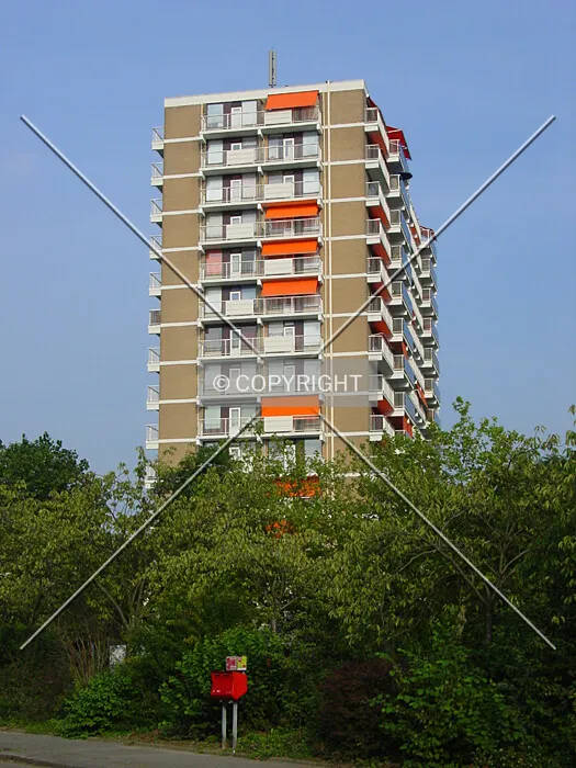 View from Prunusplantsoen