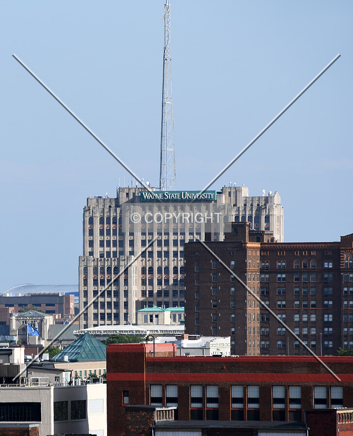 View from the northwest