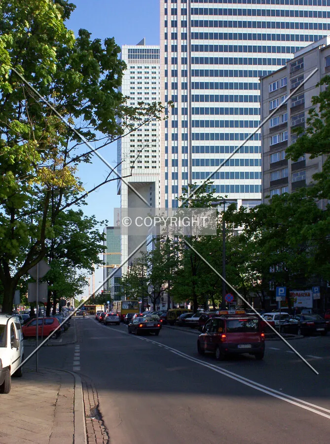 View to the south