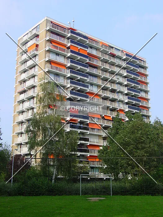 View from the south