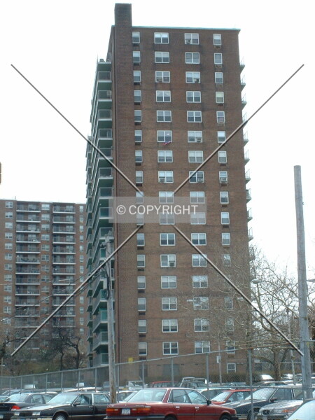 Photo 962-174-585
