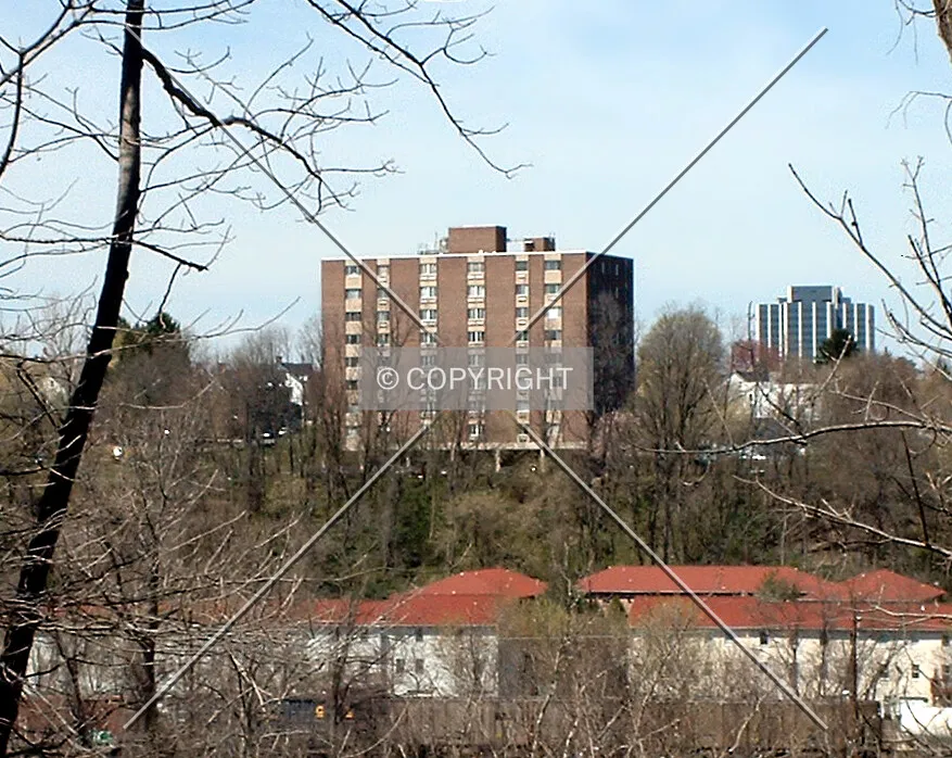 View from the southeast