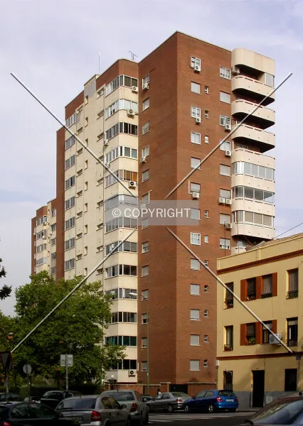 Photo 962-206-065