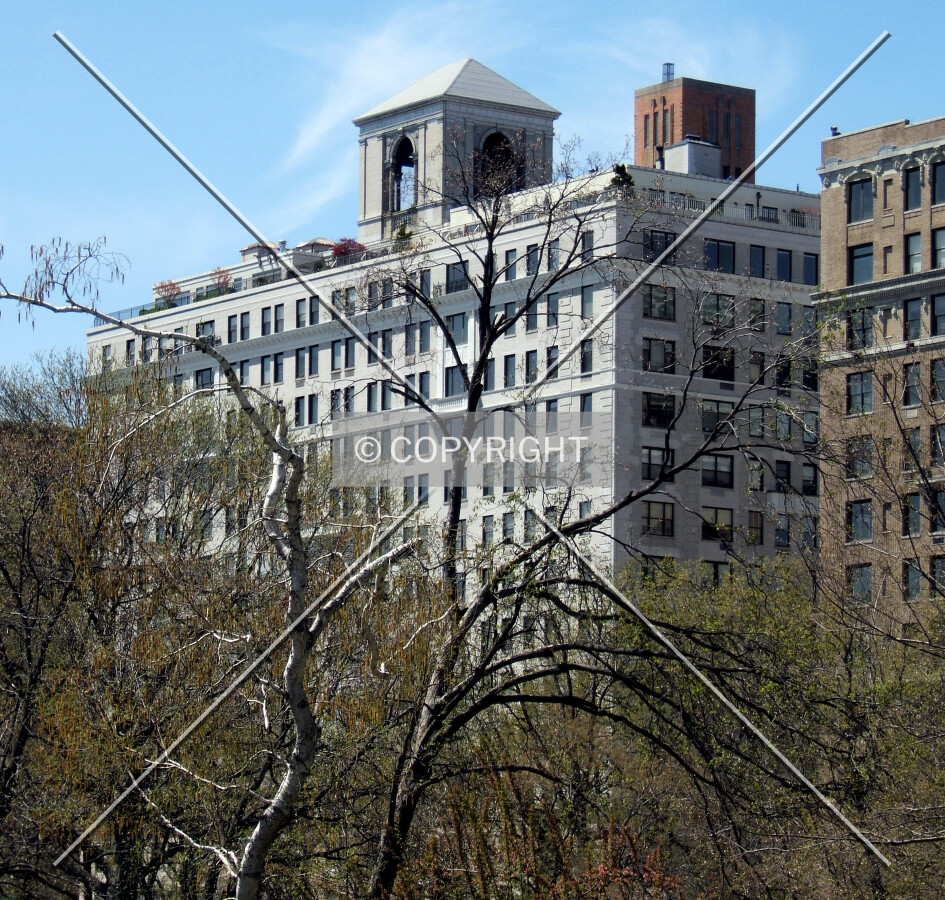 View from the northeast