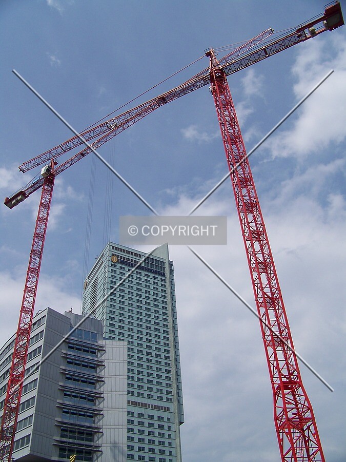 Looking up to the cranes