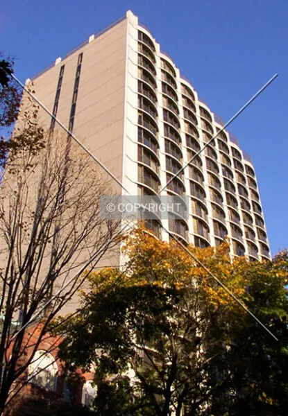Photo 962-909-245