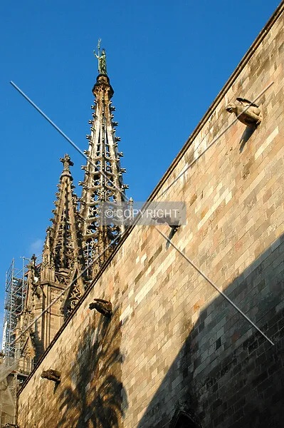Photo 963-537-527