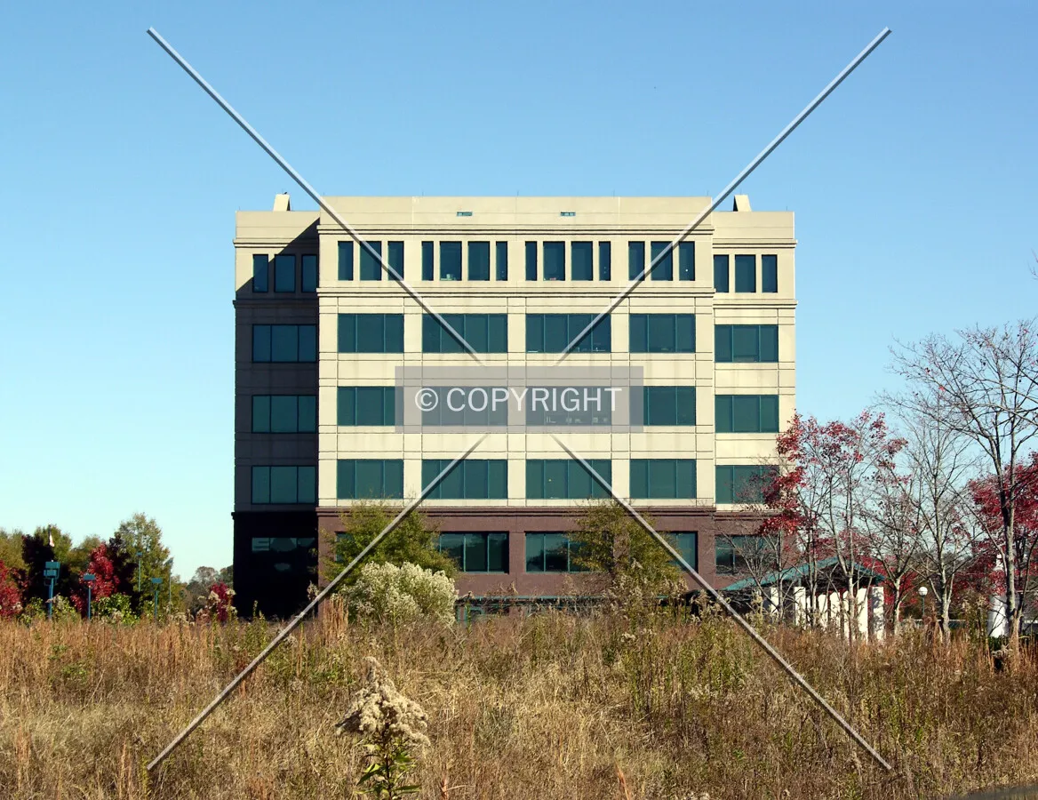 View from the west