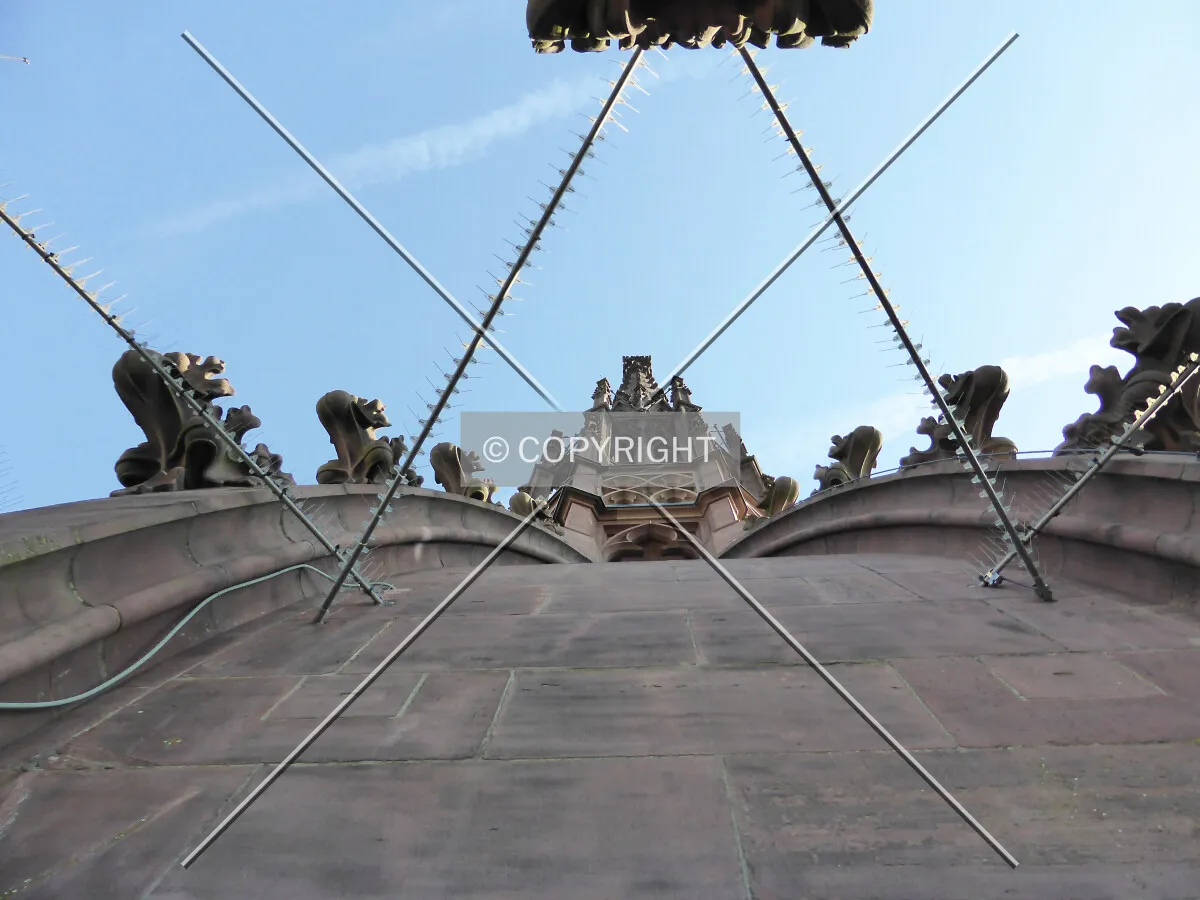 Looking up at the cathedral tower, as seen from the visitor's platform
