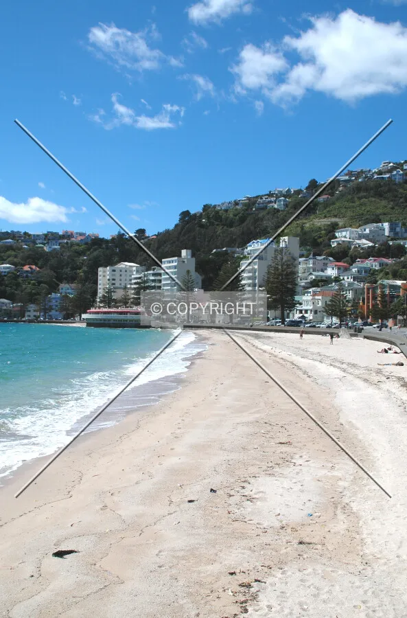 The beach at Oriental Bay
