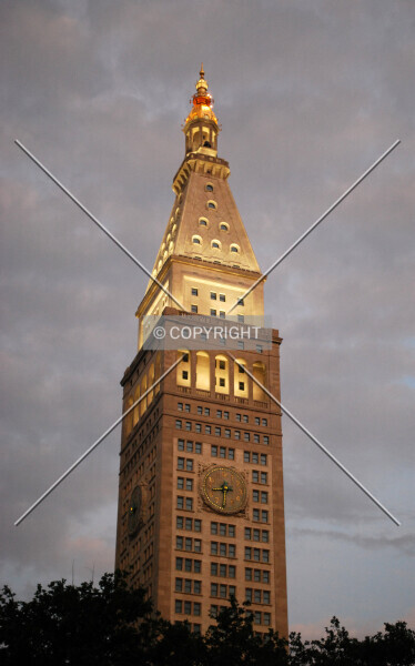 Photo 965-802-733