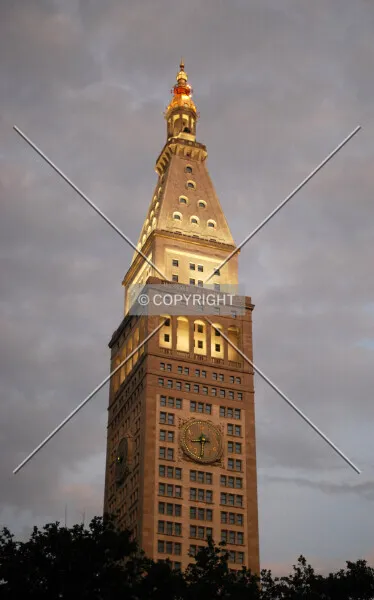 Photo 965-802-733