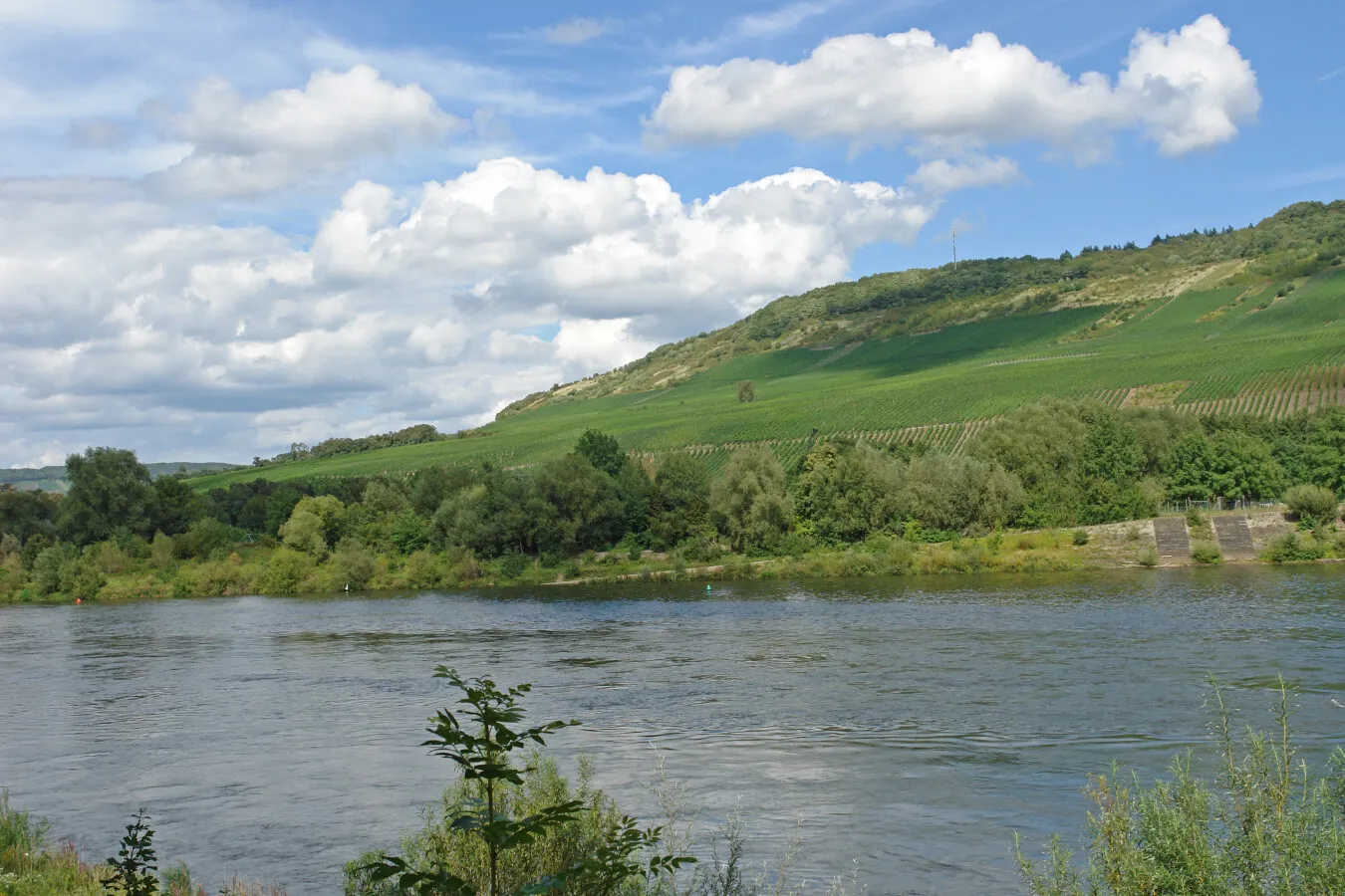 Photo 965-863-829