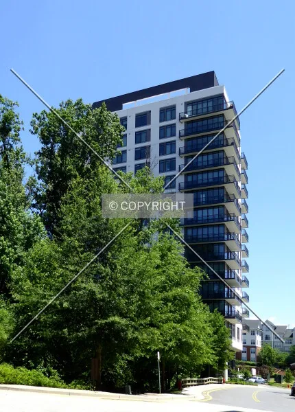 Photo 965-918-898