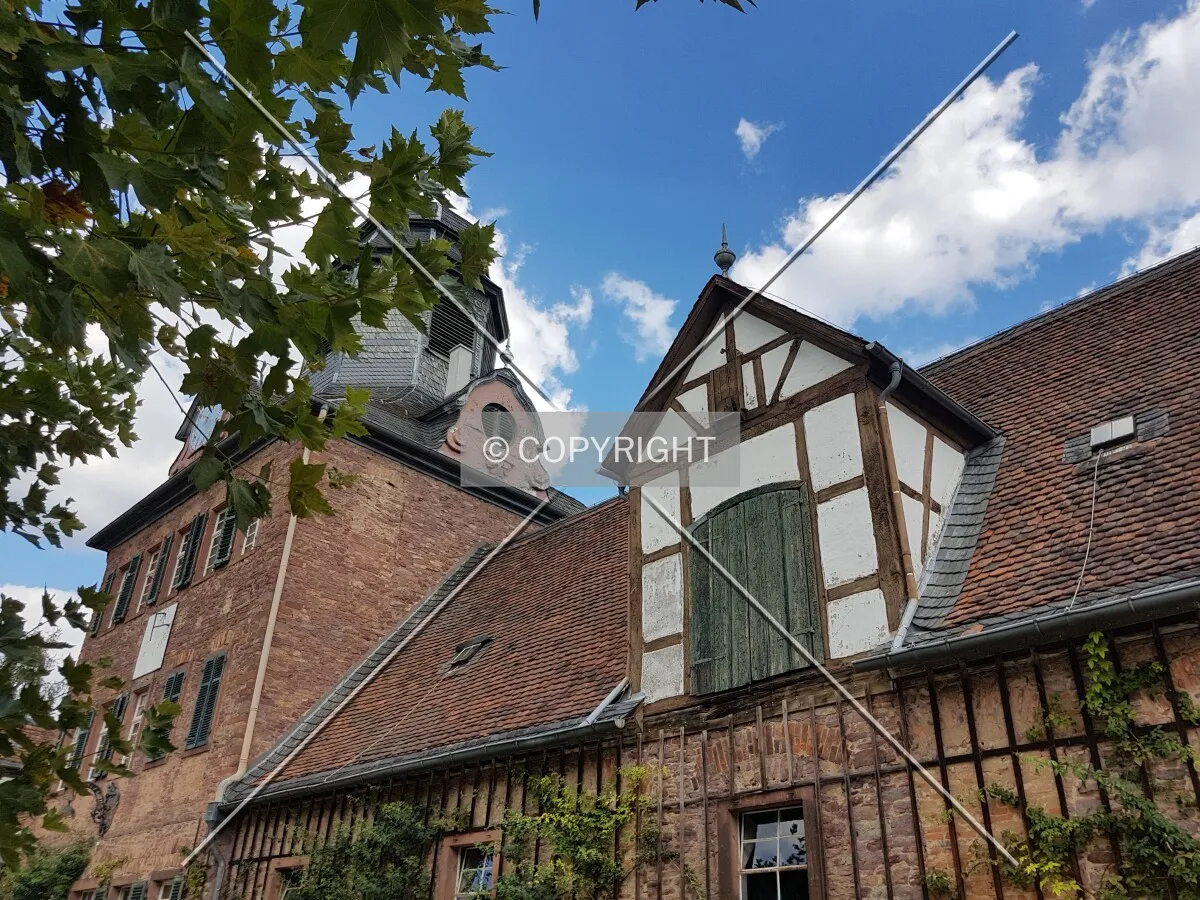 Schloß Wolfsgarten in 2018