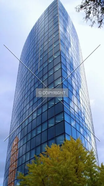 Photo 966-829-452
