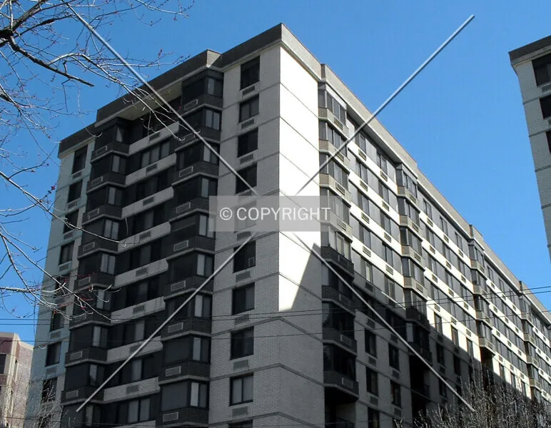 Photo 967-146-347