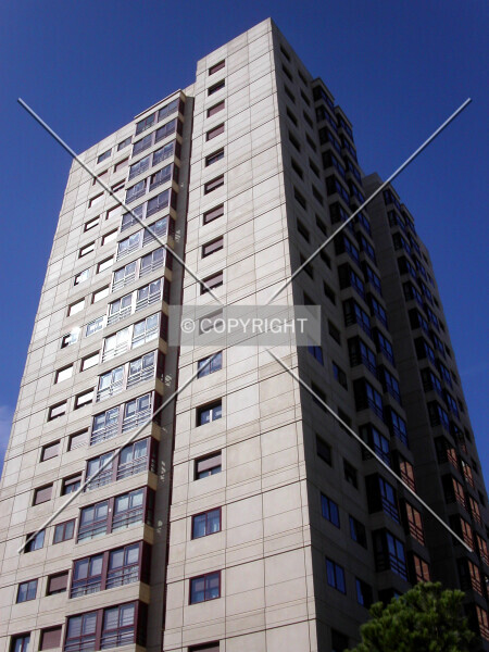 Photo 967-337-965