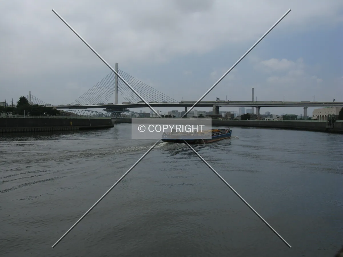 Photo 967-586-876