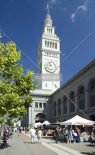 Photo 967-700-840