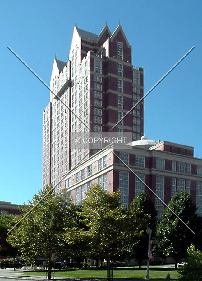 View from the southeast