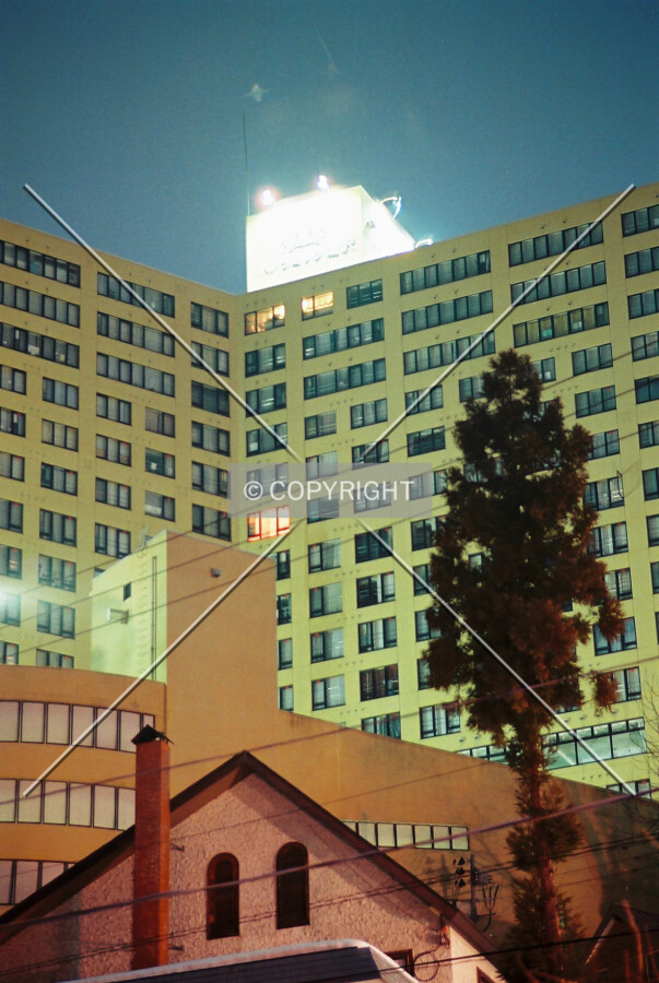 Evening view