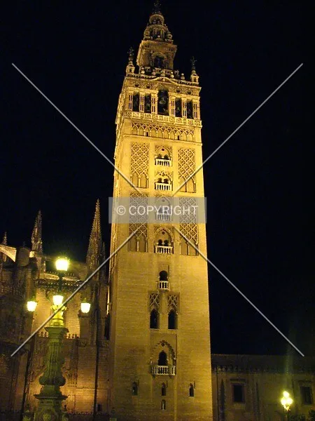 Photo 968-514-091
