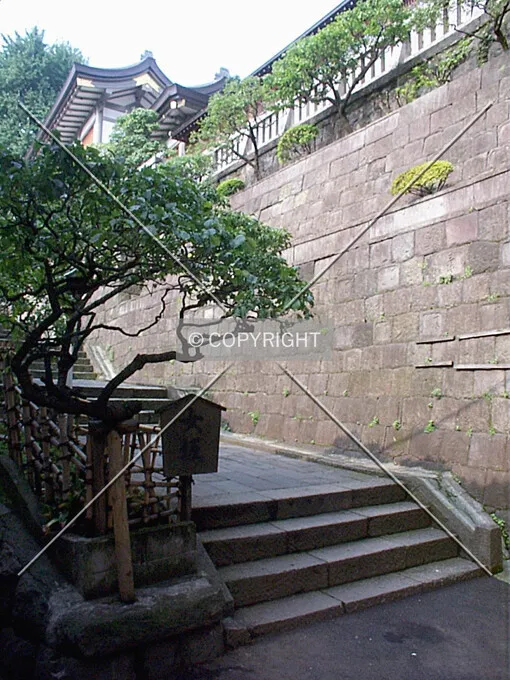 Photo 096-931-210