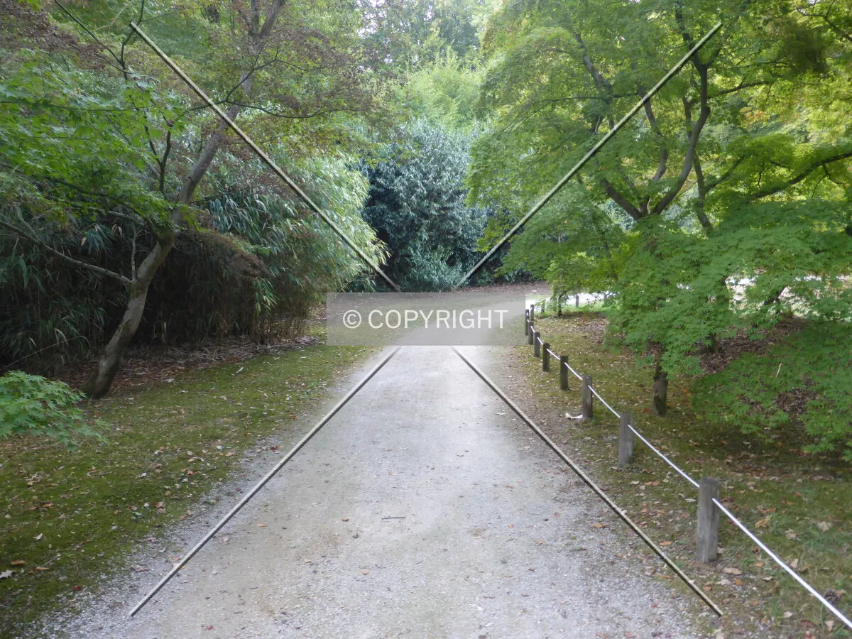Photo 096-998-331
