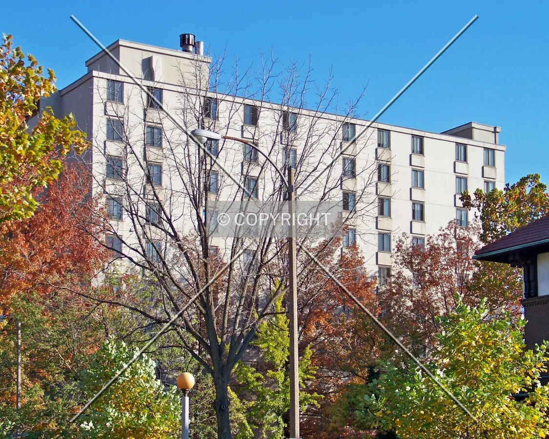 View from the northwest