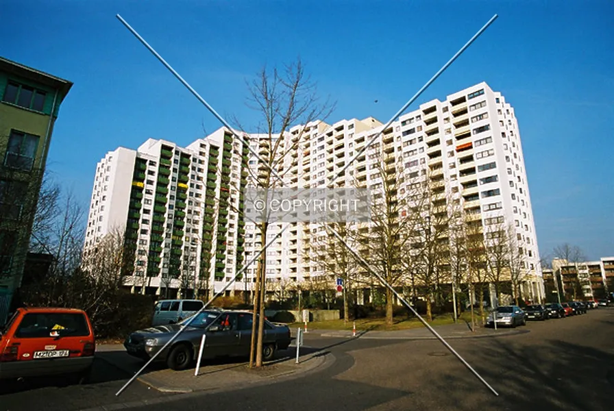 Photo 971-816-877