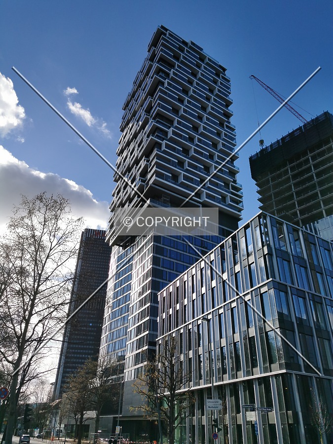 Photo 972-205-383