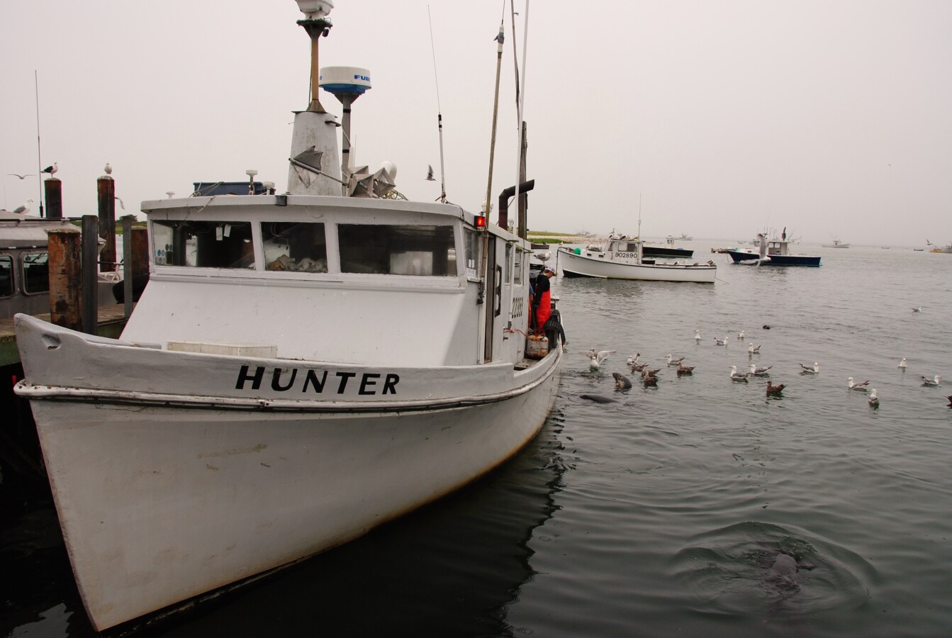Fishing boat