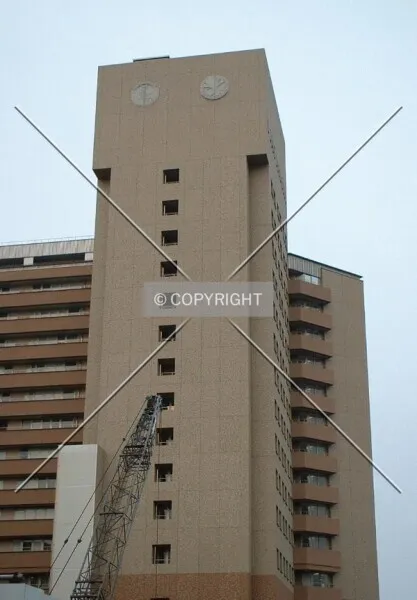 Photo 097-398-768