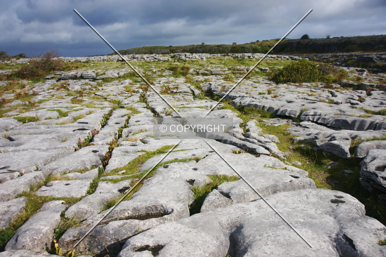 Photo 097-400-117