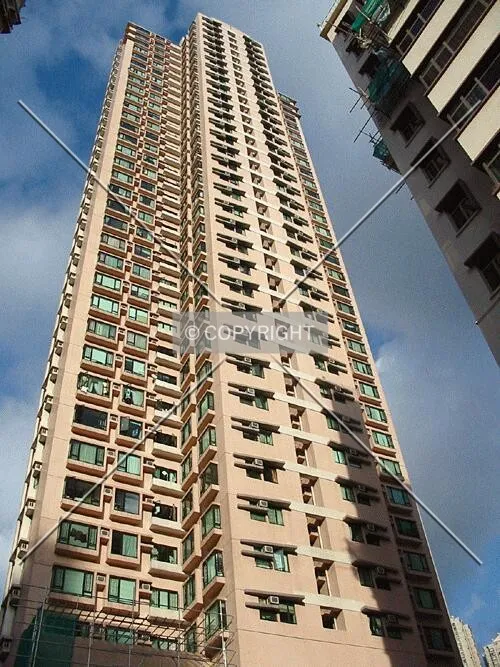 Viewed from Park Road