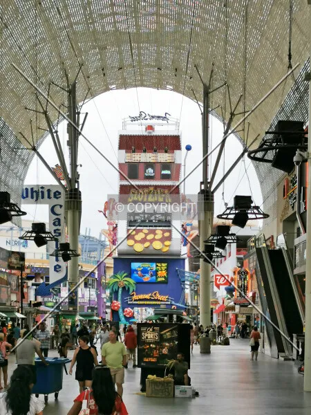 Photo 097-480-431