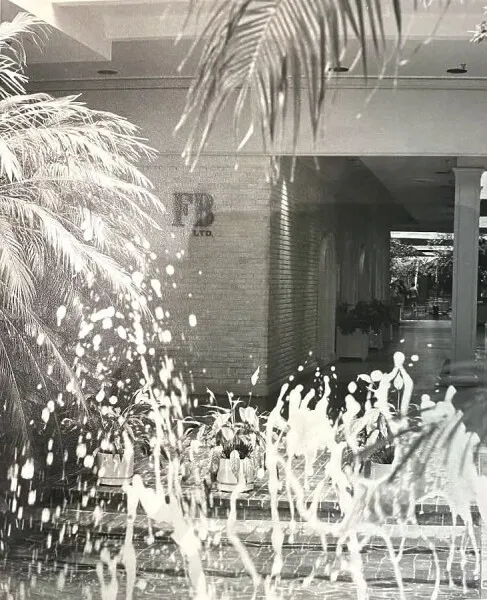 Photo 975-203-877