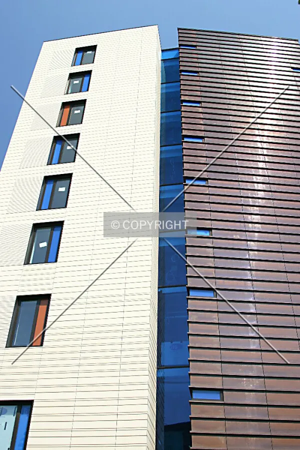 The juxtaposition of the terracotta and copper façade materials