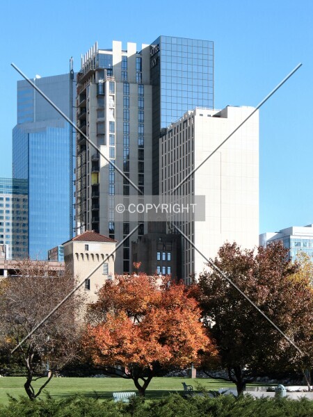 Photo 976-558-905