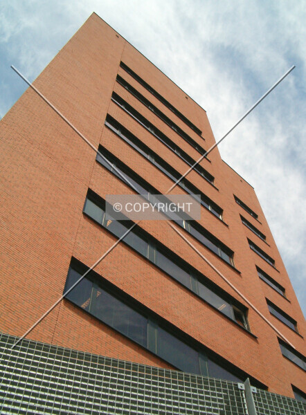 Photo 976-902-796