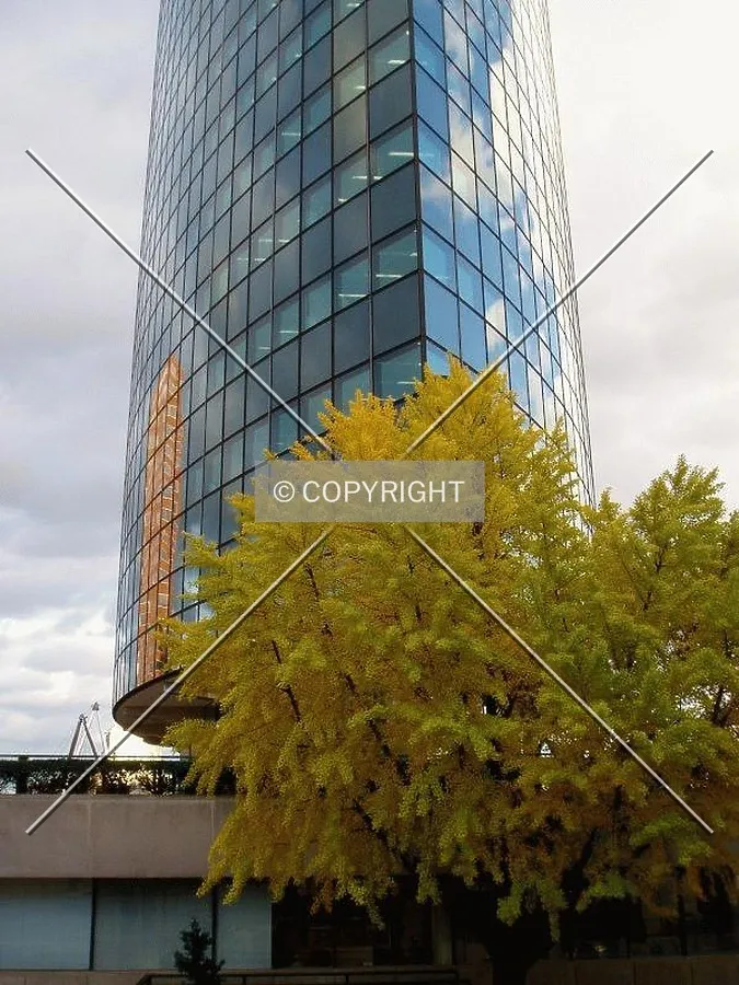 Photo 977-002-054