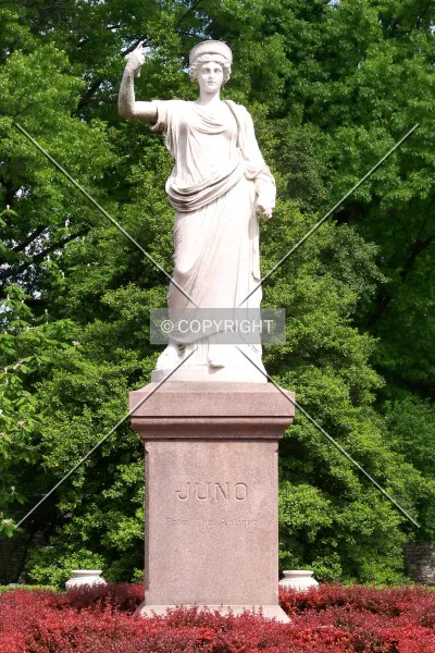 Photo 977-253-428