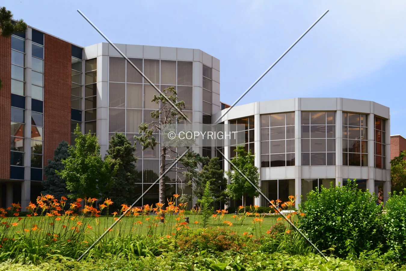 View from the southeast